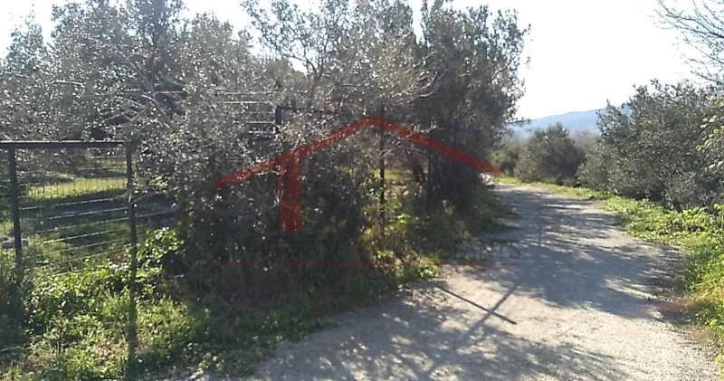 Οικόπεδο 4.000 τ.μ. προς πώληση, Κέντρο Καρύστου