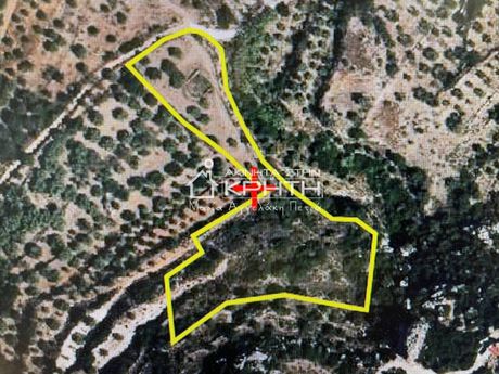 Land plot 2.500sqm for sale-Ierapetra » Episkopi
