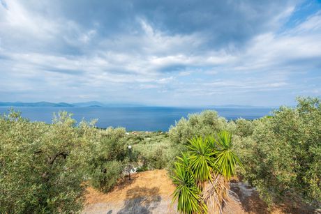 Μονοκατοικία 100τ.μ. για πώληση-Αργαλαστή