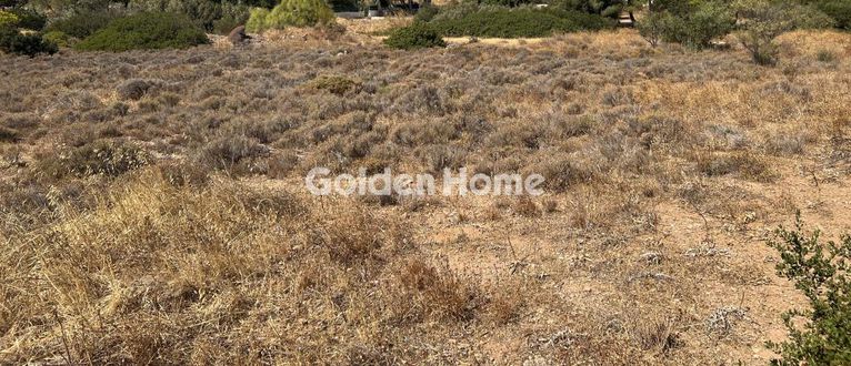 Land plot 4.789 sqm for sale, Rest Of Attica, Markopoulo