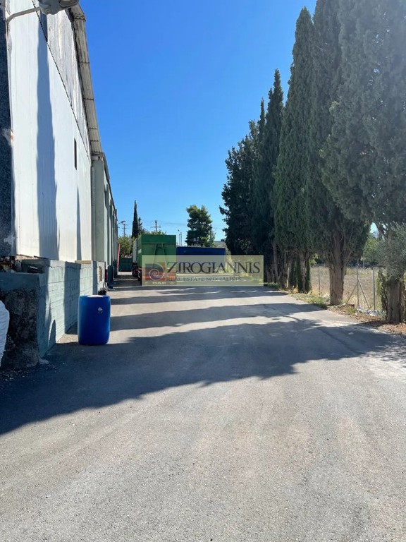 Industrial space 4.700 sqm for sale, Evia, Avlida