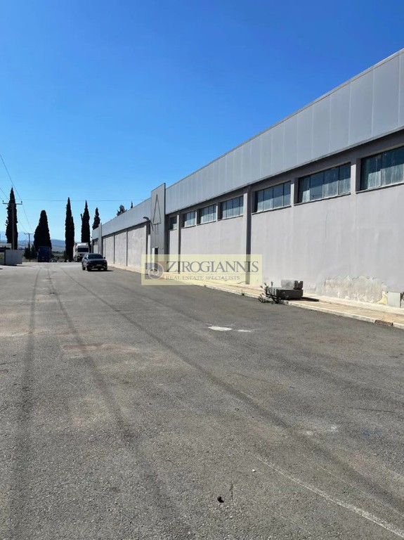 Industrial space 4.700 sqm for sale, Evia, Avlida