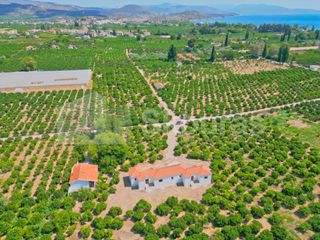Μονοκατοικία 200 τ.μ. για πώληση, Αργολίδα, Ασίνη-thumb-14