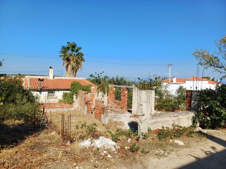 Αγροτεμάχια 218 τ.μ. για ενοικίαση