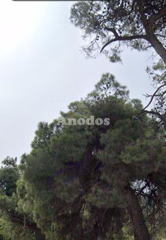 Apartment 107sqm for sale-Drosia