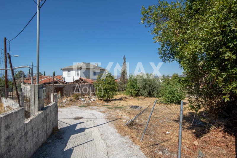 Οικόπεδο 730 τ.μ. πρός πώληση, Μαγνησία, Αρτέμιδα