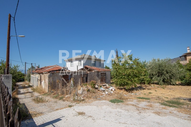 Οικόπεδο 730 τ.μ. πρός πώληση, Μαγνησία, Αρτέμιδα