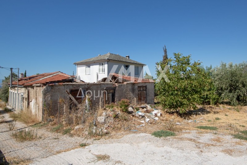 Οικόπεδο 730 τ.μ. πρός πώληση, Μαγνησία, Αρτέμιδα