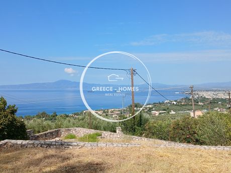 Μονοκατοικία 180τ.μ. για πώληση-Καλαμάτα » Κάτω βέργα