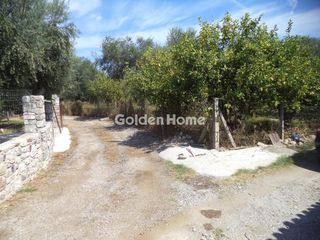 Αγροτεμάχια 5.747 τ.μ. για πώληση