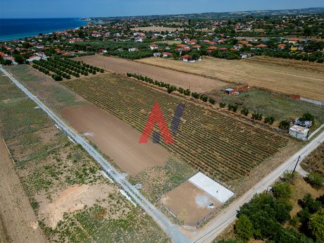 Αγροτεμάχια 48.562τ.μ. για πώληση-Καλλικράτεια » Σωζόπολη