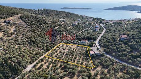 Αγροτεμάχια 5.345,92τ.μ. για πώληση-Σούρπη