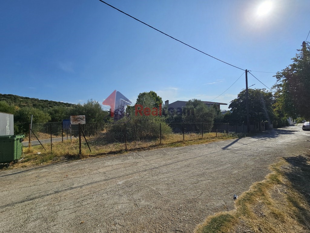 Οικόπεδο 406,25 τ.μ. πρός πώληση, Μαγνησία, Σούρπη
