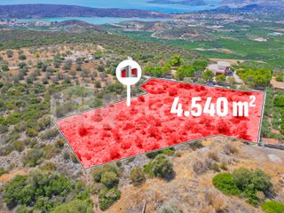 Αγροτεμάχια 4.540 τ.μ. για πώληση