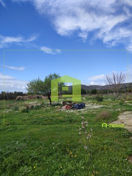 Parcel 4.400sqm for sale-Kefalonia » Paliki