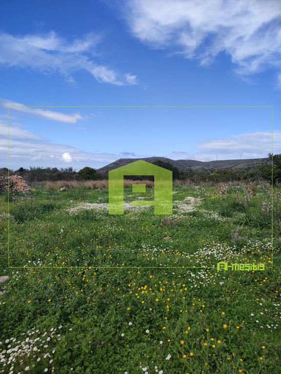 Αγροτεμάχια 4.400 τ.μ. πρός πώληση, Ν. Κεφαλονιάς, Κεφαλονιά
