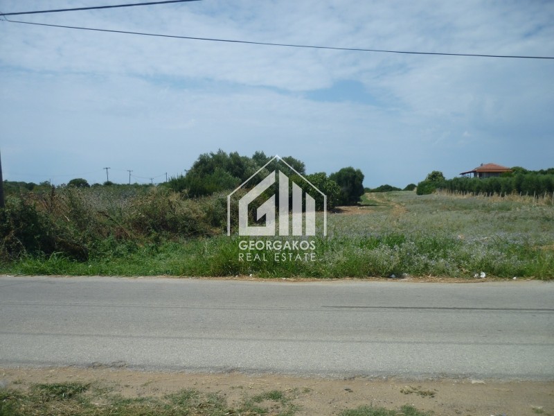 Αγροτεμάχια 4.245 τ.μ. προς πώληση, Νέα Ποτίδαια