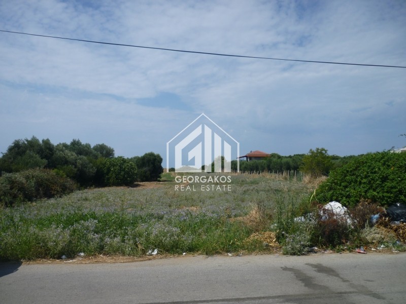 Αγροτεμάχια 4.245 τ.μ. προς πώληση, Νέα Ποτίδαια
