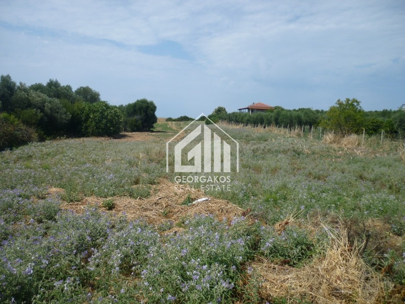 Αγροτεμάχια 4.245 τ.μ. προς πώληση, Νέα Ποτίδαια