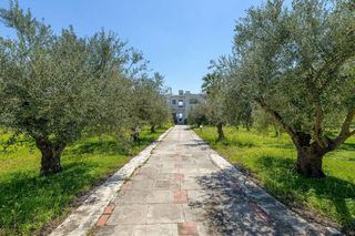 Μονοκατοικία 250 τ.μ. πρός πώληση, Εύβοια, Ερέτρια-thumb-17