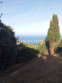 Οικόπεδο 590τ.μ. για πώληση-Ικαρία