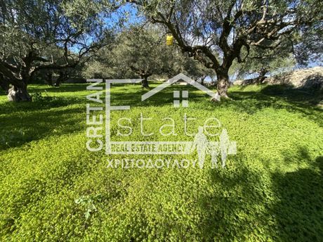 Parcel 5.000sqm for sale-Ierapetra » Kalamavka