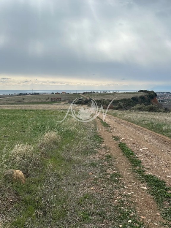 Αγροτεμάχια 6.500 τ.μ. πρός πώληση, Εβρος, Αλεξανδρούπολη