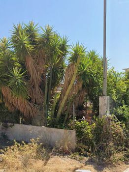 Detached home 75 sqm for sale