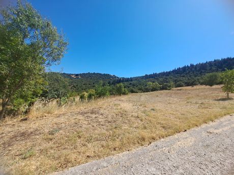 Land plot 1.700sqm for sale-Gorgopotamos » Delfino