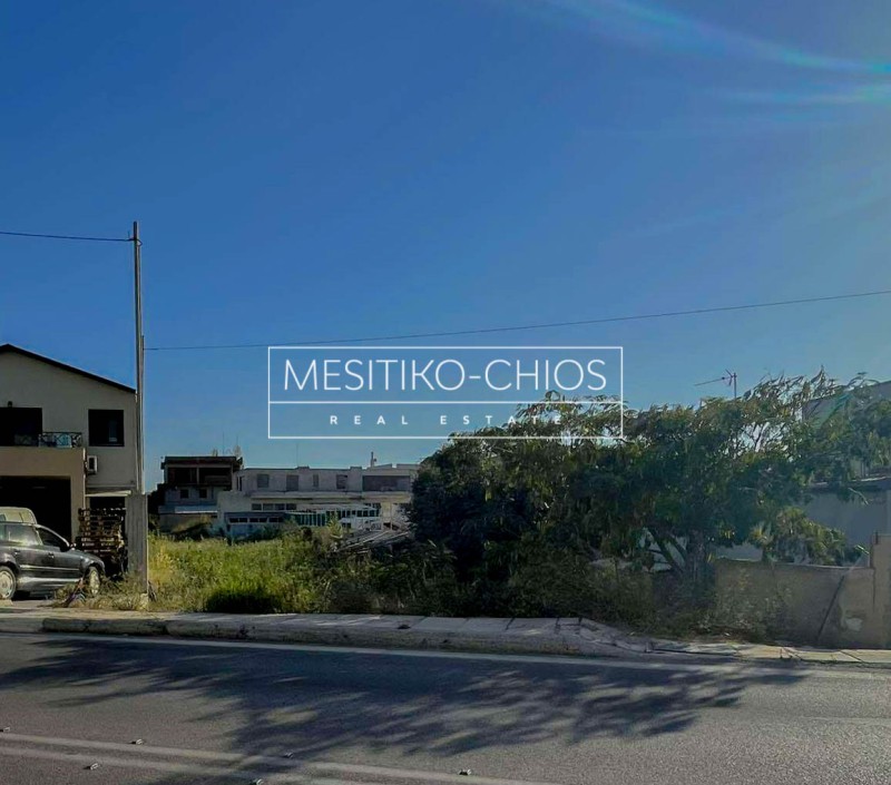 Οικόπεδο 1.154,50 τ.μ. προς πώληση, Άγιος Μηνάς Χίου