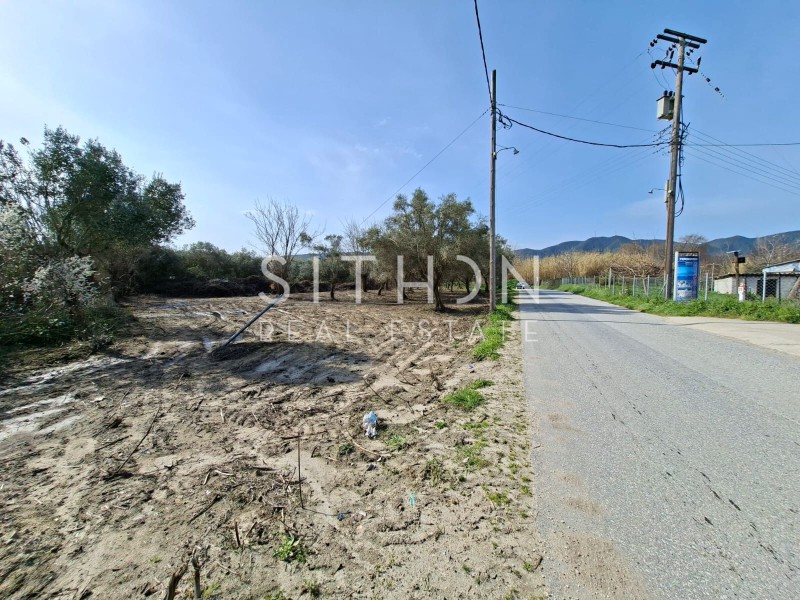 Αγροτεμάχια 1.261 τ.μ. προς πώληση, Συκιά Τορώνης
