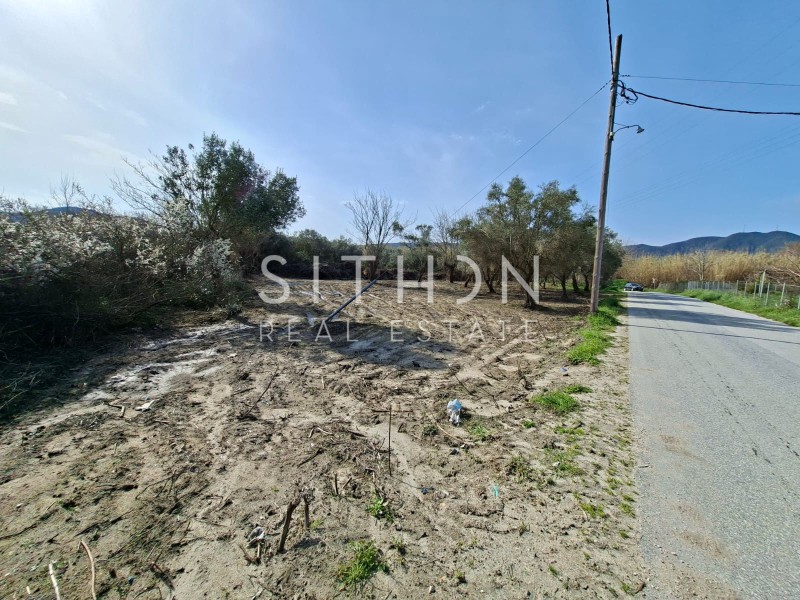 Αγροτεμάχια 1.261 τ.μ. προς πώληση, Συκιά Τορώνης