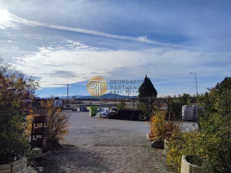 Craft space 1.000sqm for sale-Gallikos » Nea Santa