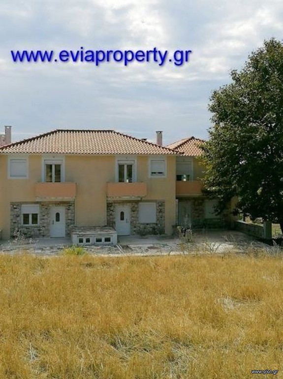 Επαγγελματικό 1.833 τ.μ. προς πώληση, Δρυμώνα