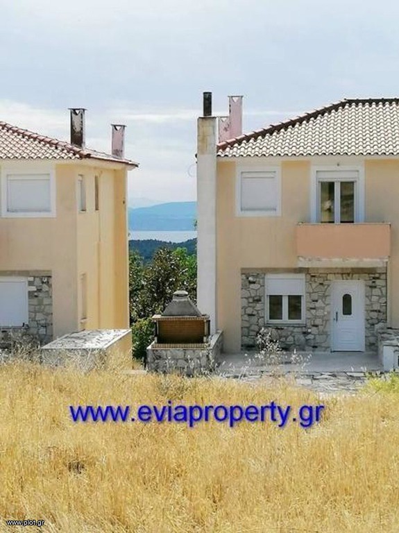 Επαγγελματικό 1.833 τ.μ. προς πώληση, Δρυμώνα