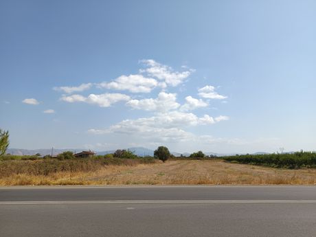 Αγροτεμάχια 6.000τ.μ. για πώληση-Άργος » Μαγούλα