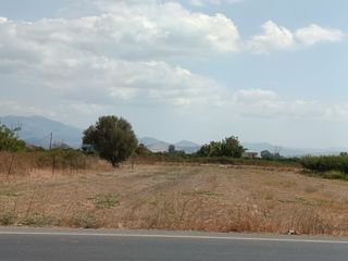 Αγροτεμάχια 6.000 τ.μ. για πώληση, Αργολίδα, Άργος-thumb-1