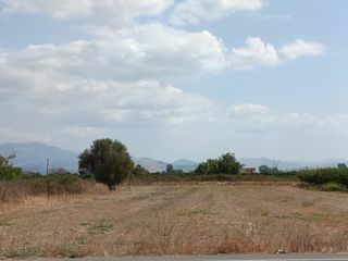 Αγροτεμάχια 6.000 τ.μ. για πώληση, Αργολίδα, Άργος-thumb-2