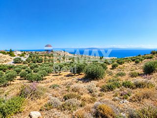 Οικόπεδο 4.355 τ.μ. προς πώληση