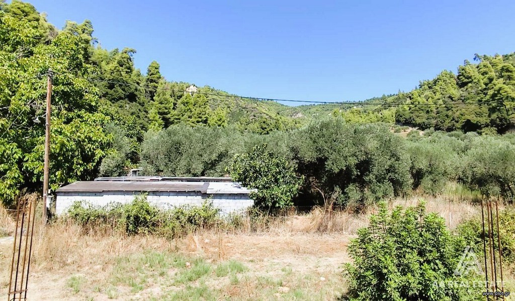 Επιχειρηματικό κτίριο 420 τ.μ. πρός πώληση, Χαλκιδική, Παλλήνη