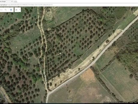 Αγροτεμάχια 11.500 τ.μ. προς πώληση