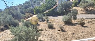 Οικόπεδο 620 τ.μ. για πώληση, Εύβοια, Αιδηψός-thumb-3