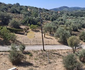 Οικόπεδο 620 τ.μ. για πώληση, Εύβοια, Αιδηψός-thumb-4