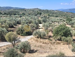 Οικόπεδο 620 τ.μ. για πώληση, Εύβοια, Αιδηψός-thumb-2