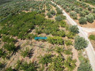 Αγροτεμάχια 5.884 τ.μ. για πώληση, Αργολίδα, Λύρκεια-thumb-6