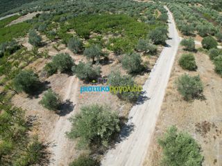 Αγροτεμάχια 5.884 τ.μ. για πώληση, Αργολίδα, Λύρκεια-thumb-8