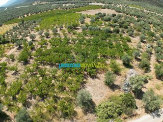Αγροτεμάχια 5.884 τ.μ. για πώληση, Αργολίδα, Λύρκεια-thumb-5