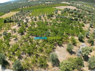 Αγροτεμάχια 5.884 τ.μ. για πώληση, Αργολίδα, Λύρκεια-thumb-4