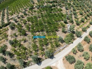 Αγροτεμάχια 5.884 τ.μ. για πώληση, Αργολίδα, Λύρκεια-thumb-3