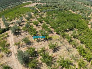 Αγροτεμάχια 5.884 τ.μ. για πώληση, Αργολίδα, Λύρκεια-thumb-7